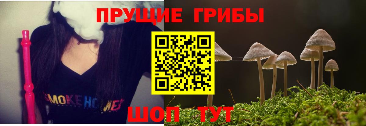 Клин  Галлюциногенные грибы мухоморы  Вход с VPN 
